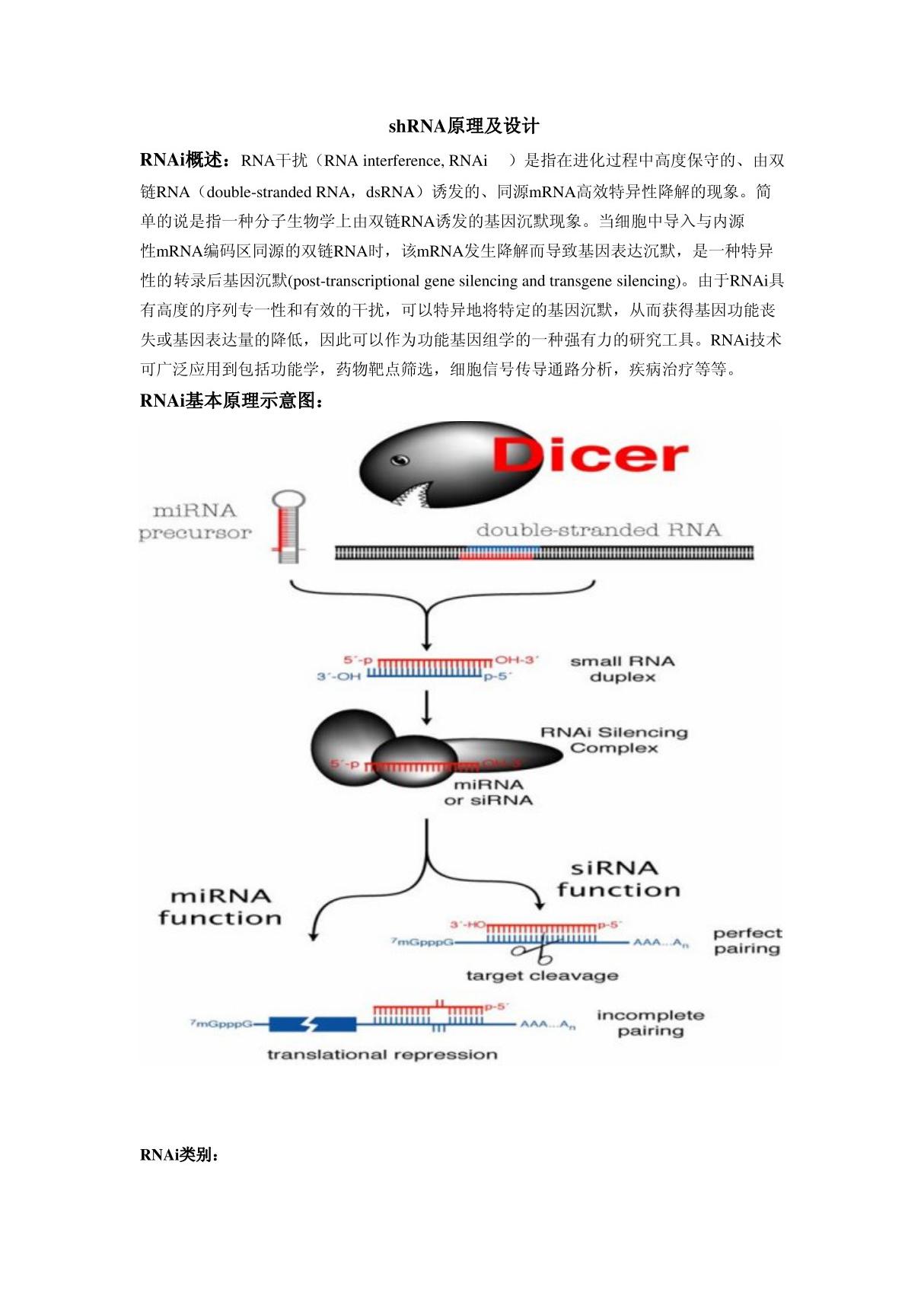 shRNA原理及设计设计原理shRNAshRNA设计shrna设计