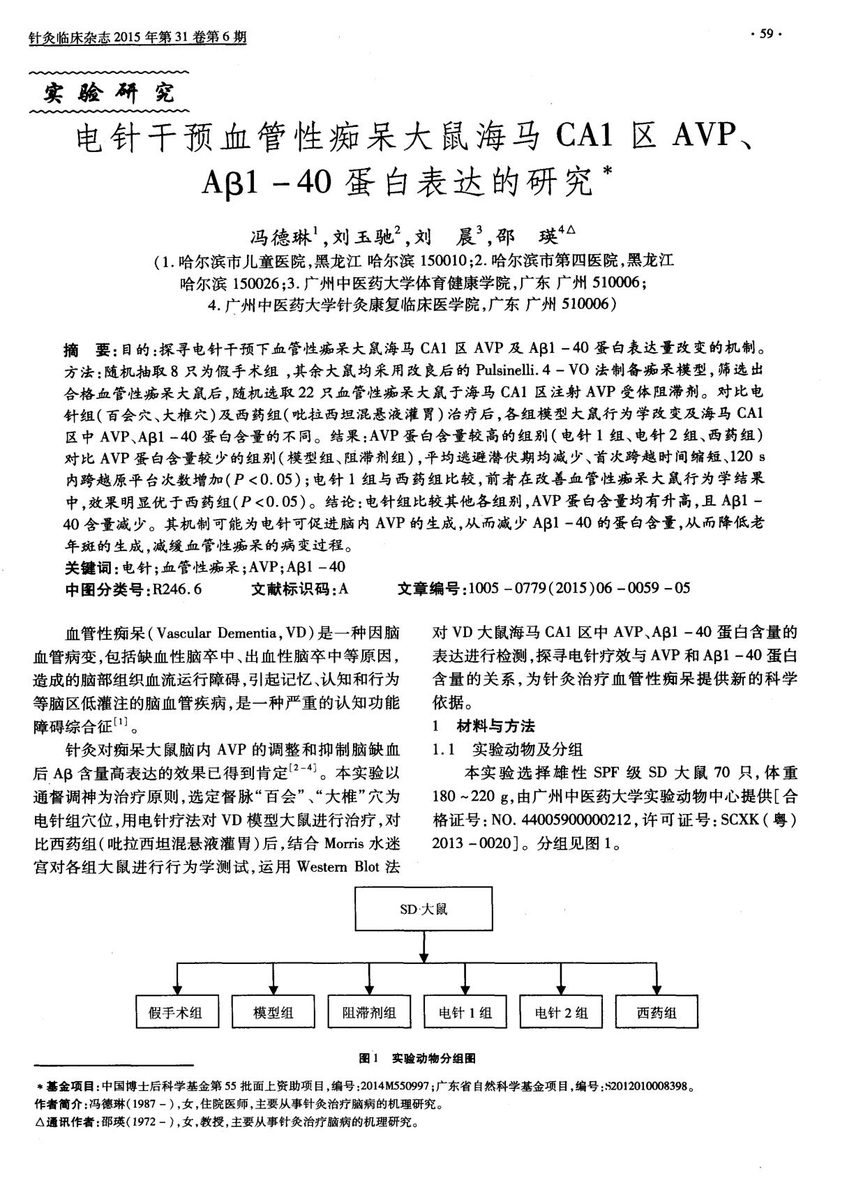 电针干预血管性痴呆大鼠海马CA1区AVP Aβ1-40蛋白表达的研究