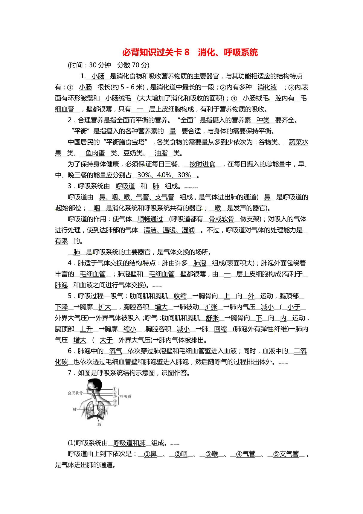 2020中考生物必背知识点 消化 呼吸系统