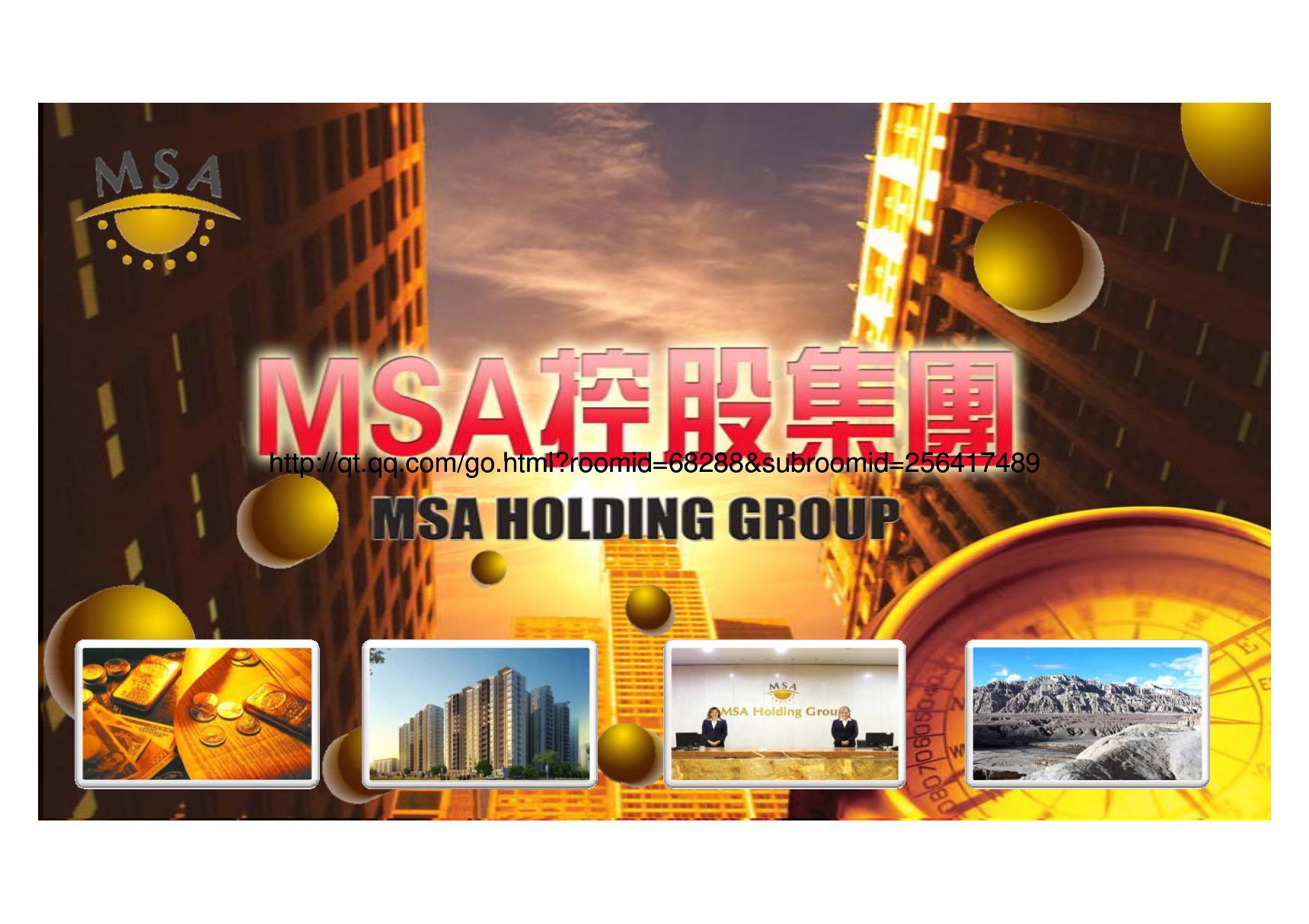 MSA控股集团简介(PPT)