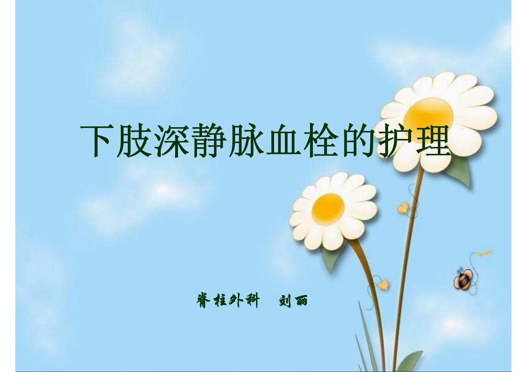 下肢深静脉血栓的护理47953471-PPT(精)