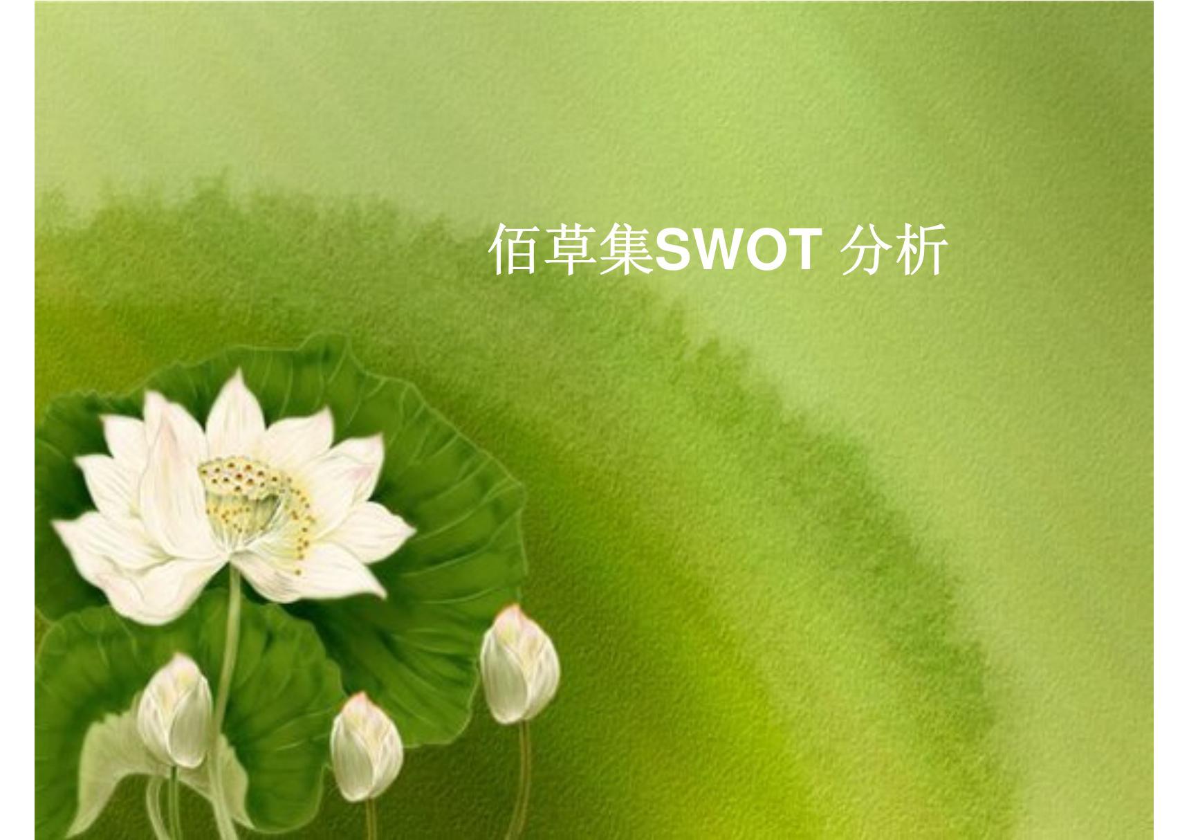 佰草集SWOT分析