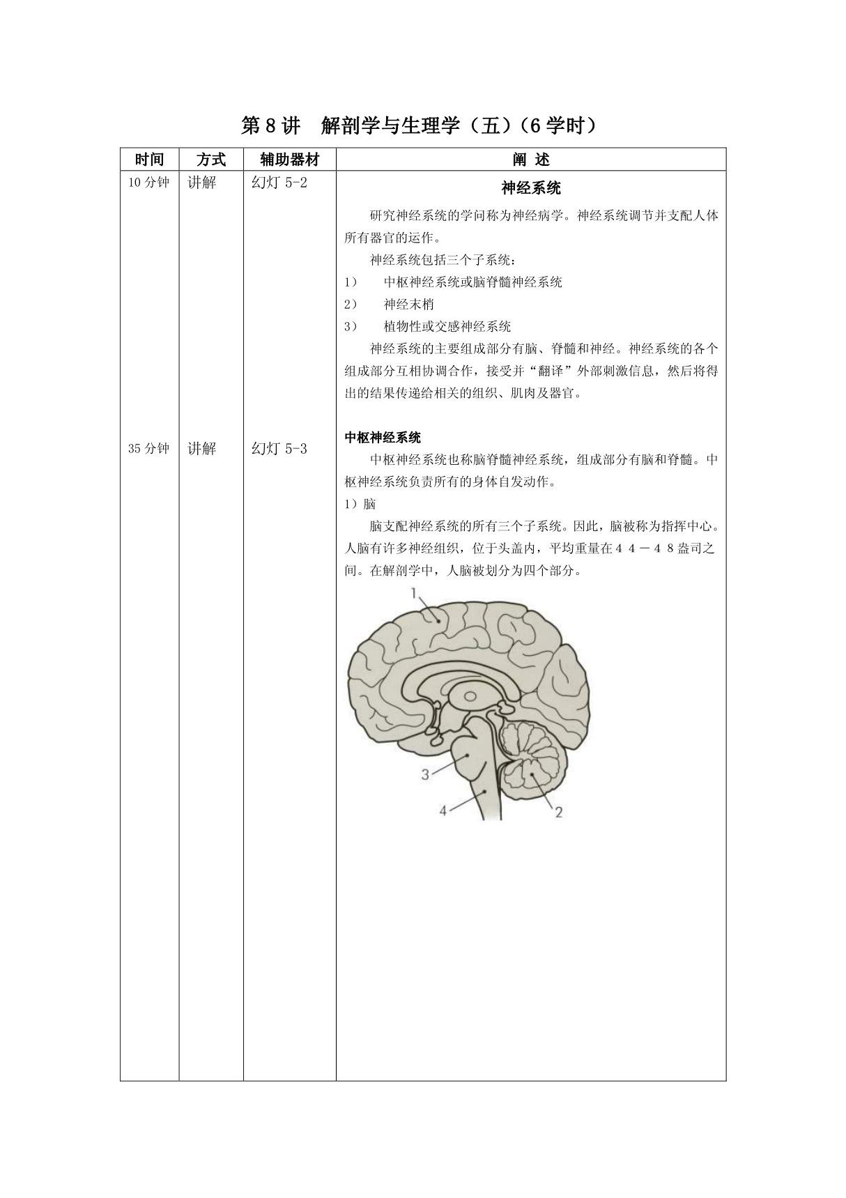 (临床医学)美容护理基础第8讲解剖学与生理学(五)详案