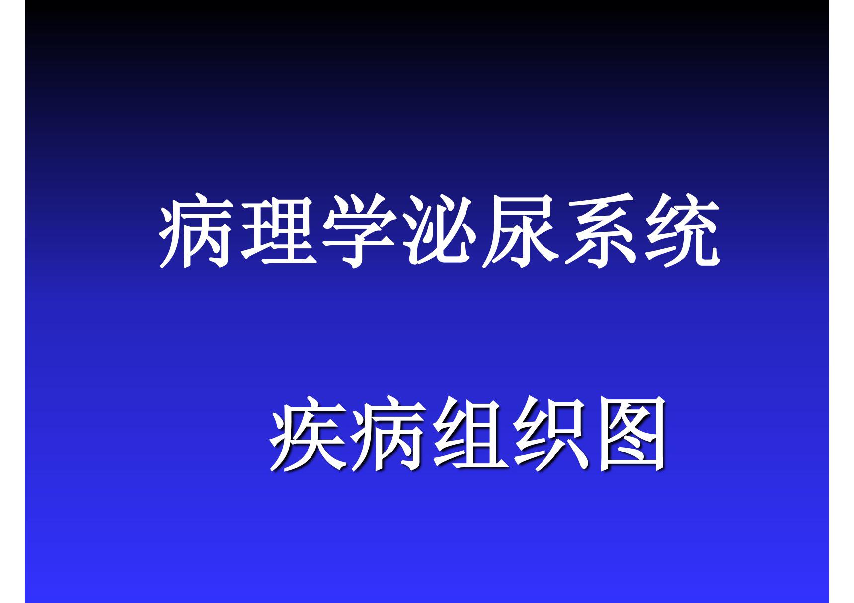 泌尿系统--病理学基础课件