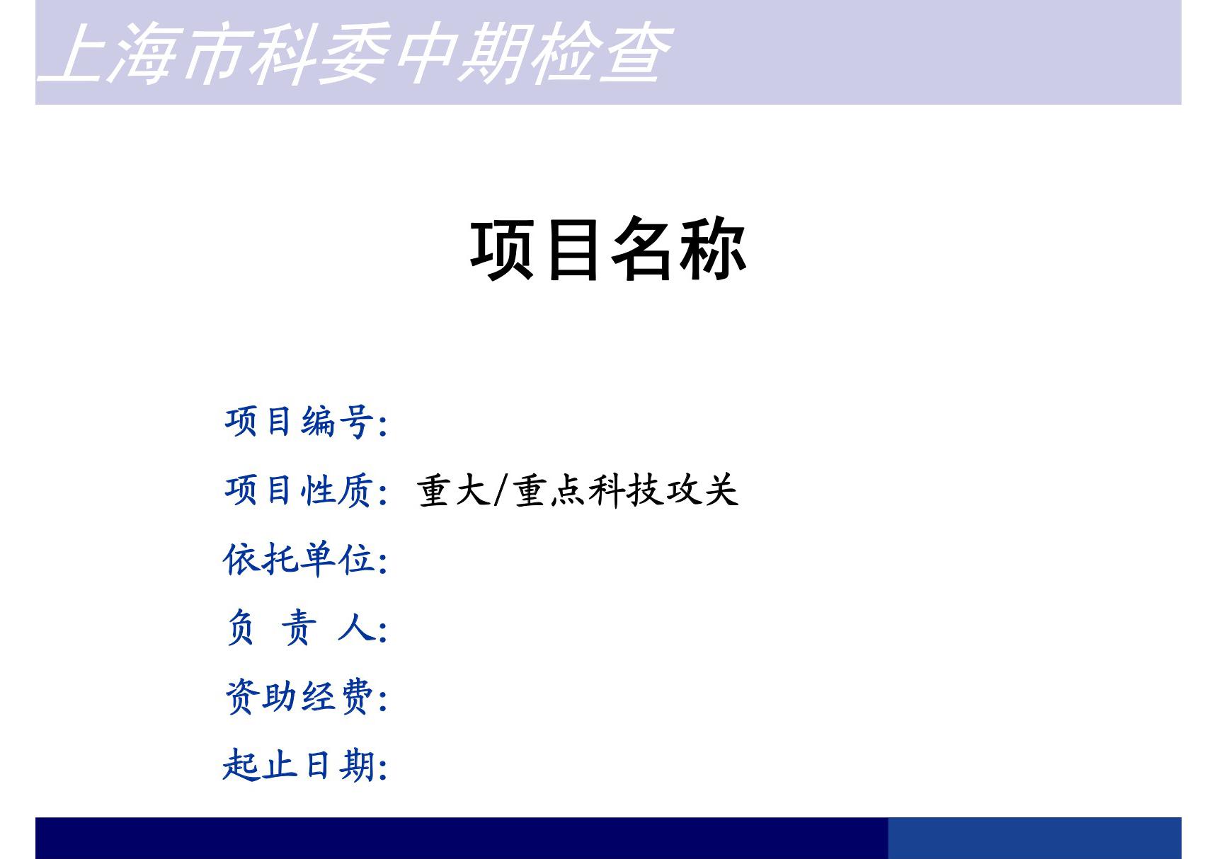 上海市科委重大重点科技攻关项目中期检查PPT模版-项目编