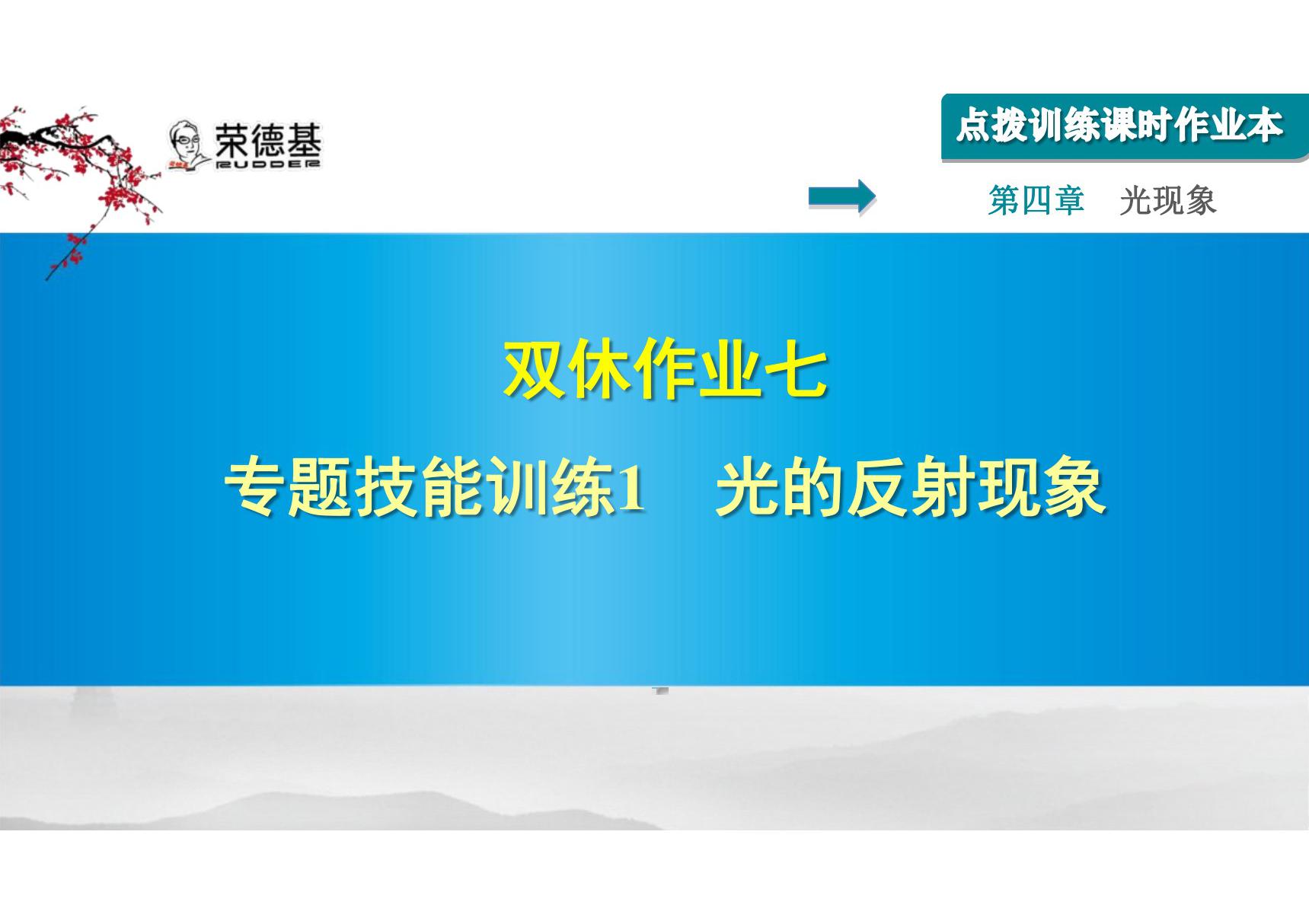 双休作业七 专题技能训练1 光的反射现象