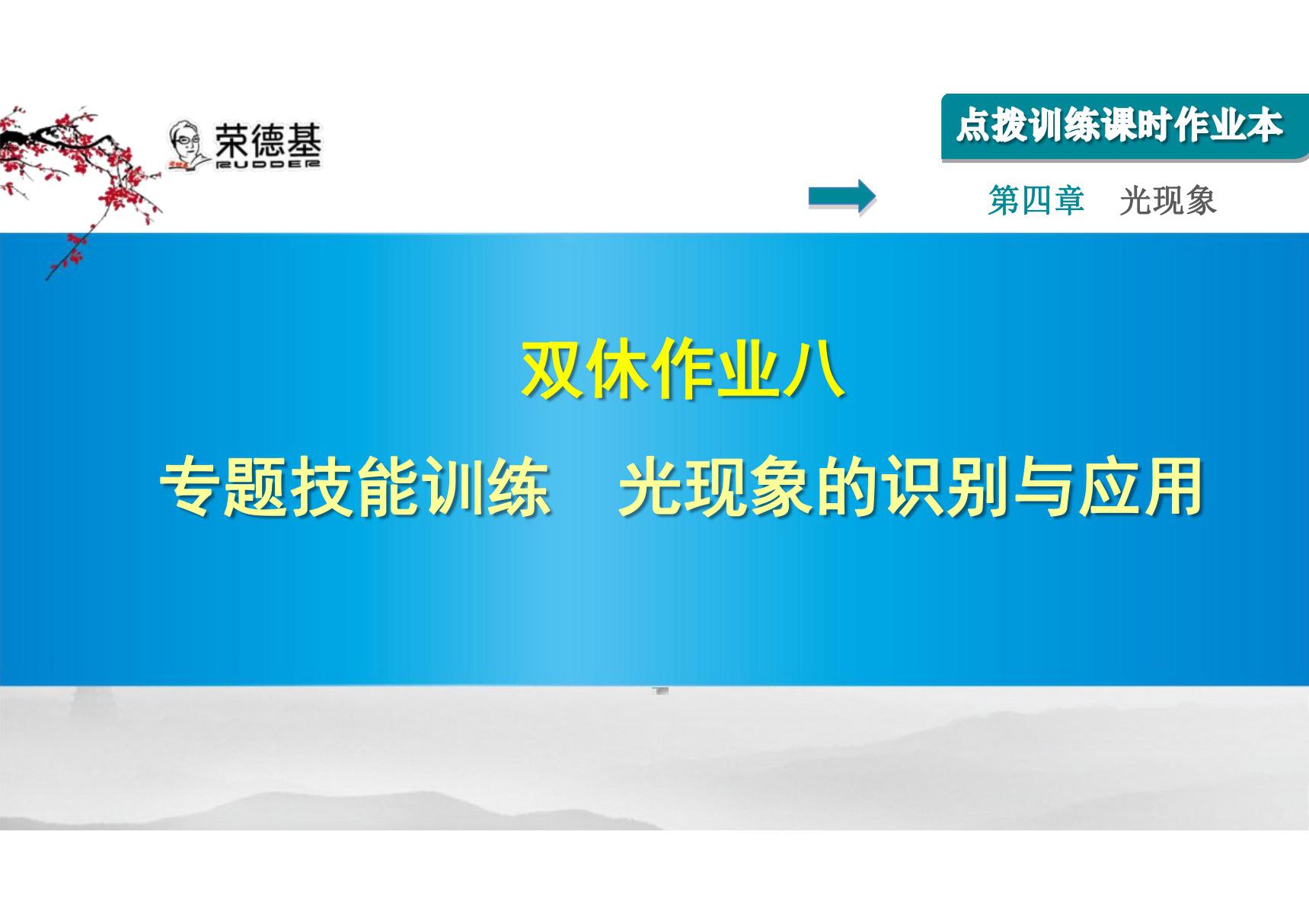 双休作业八 专题技能训练 光现象的识别与应用