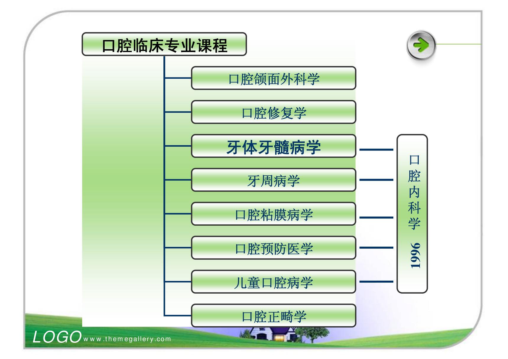 龋病 温医《牙体牙髓病学》课件