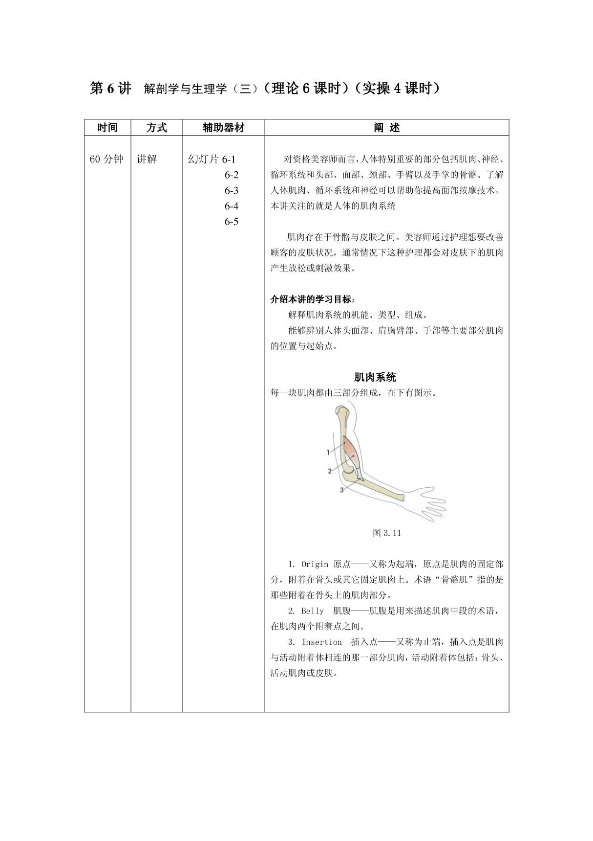 (临床医学)美容护理基础第6讲解剖学和生理学(三)详案