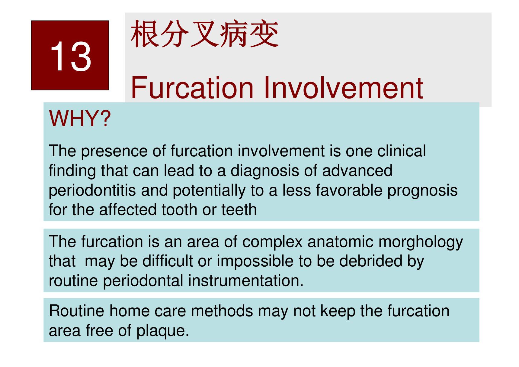 根分叉病变 同济口腔医学课件