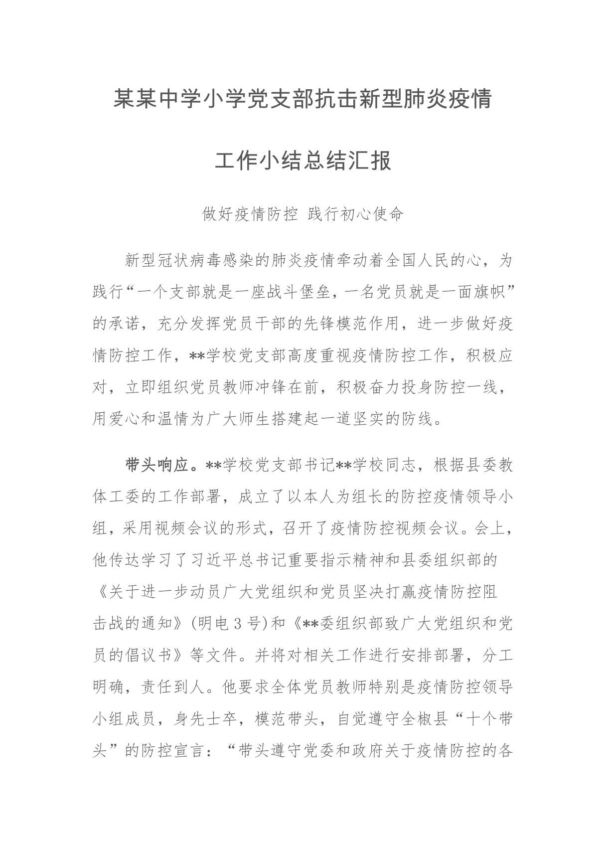 某某中学小学党支部抗击新型肺炎疫情工作小结总结汇报