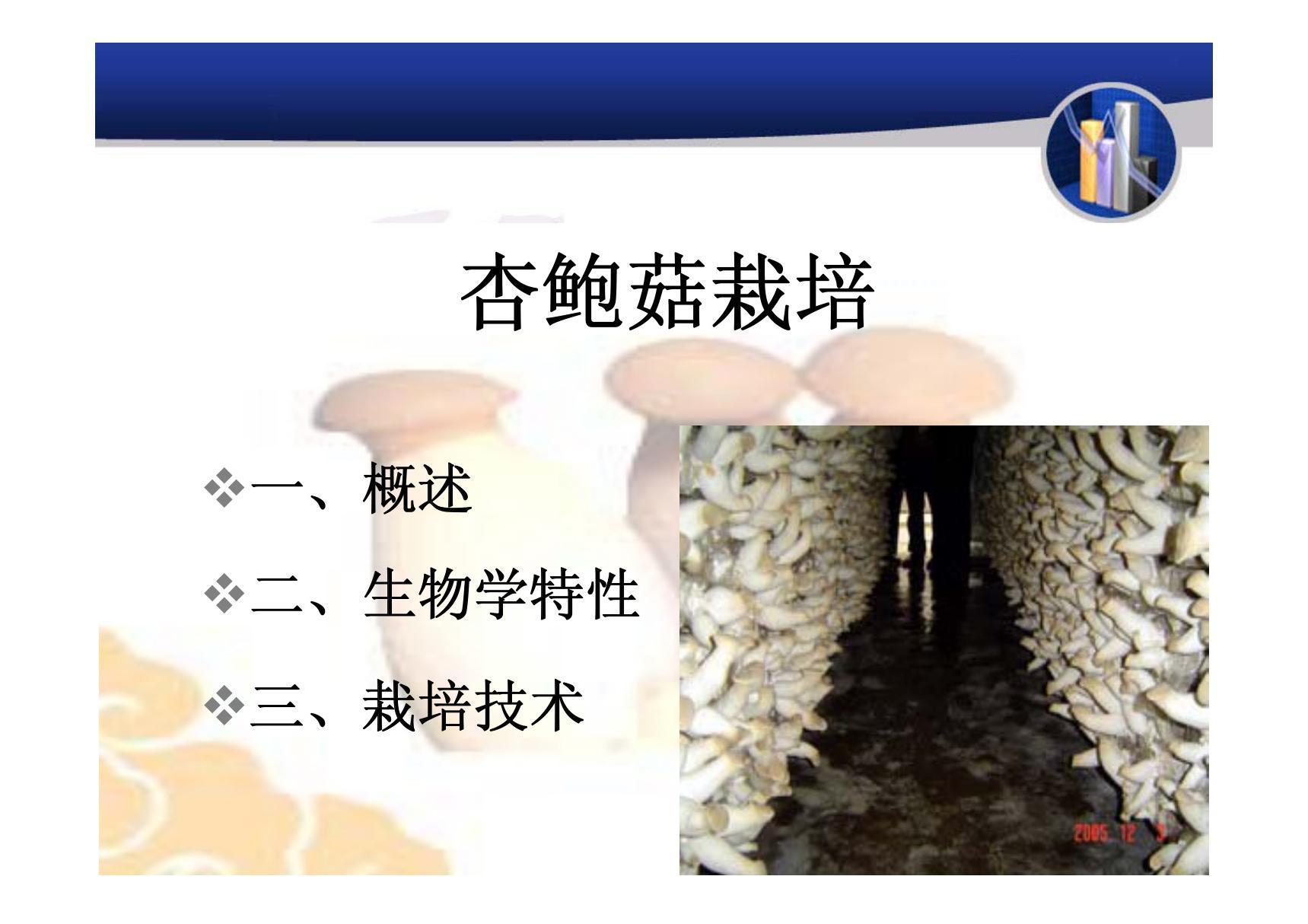 食用菌栽培04 杏鲍菇(PPT)