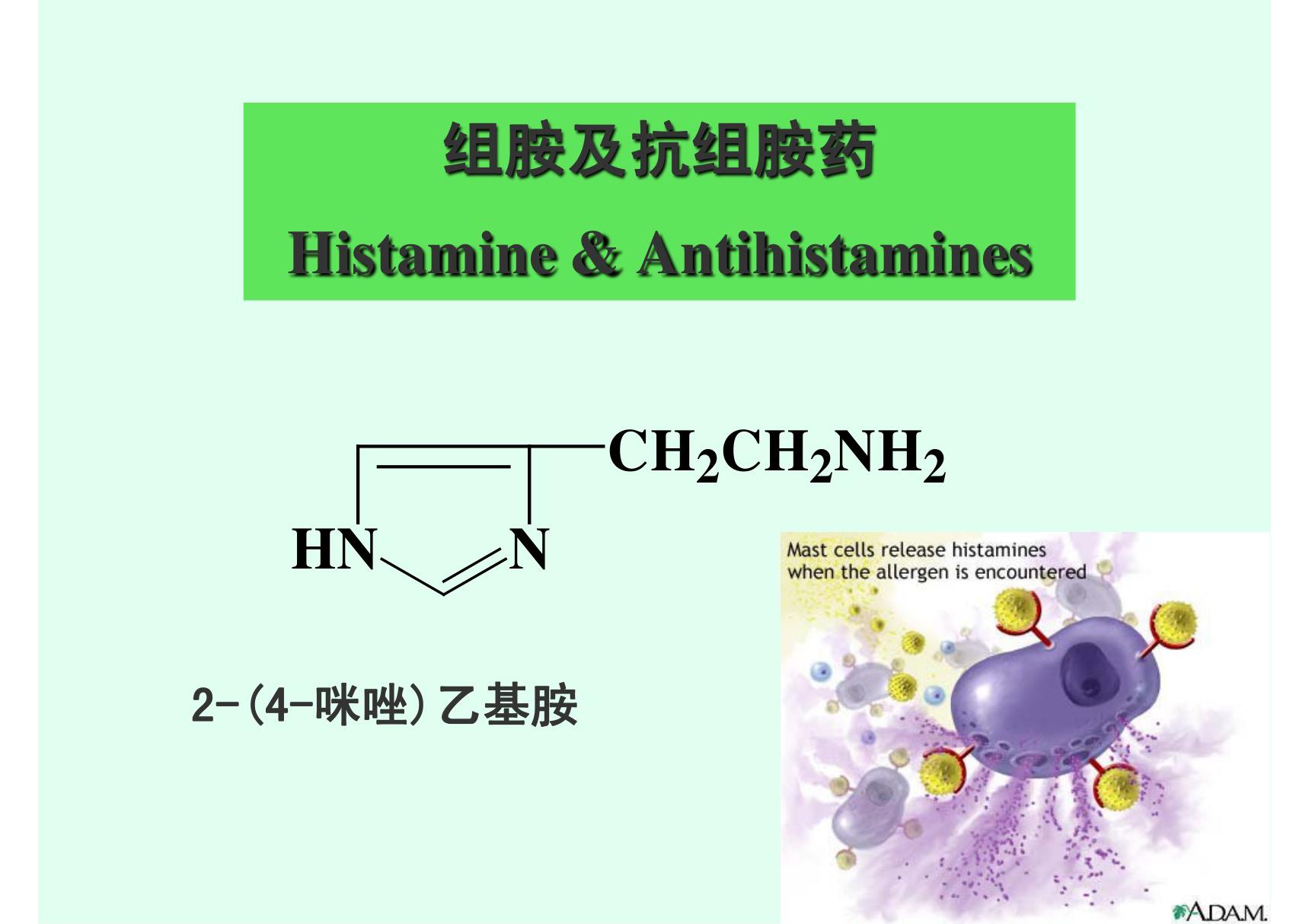 组胺及抗组胺药Histamine  Antihistamines