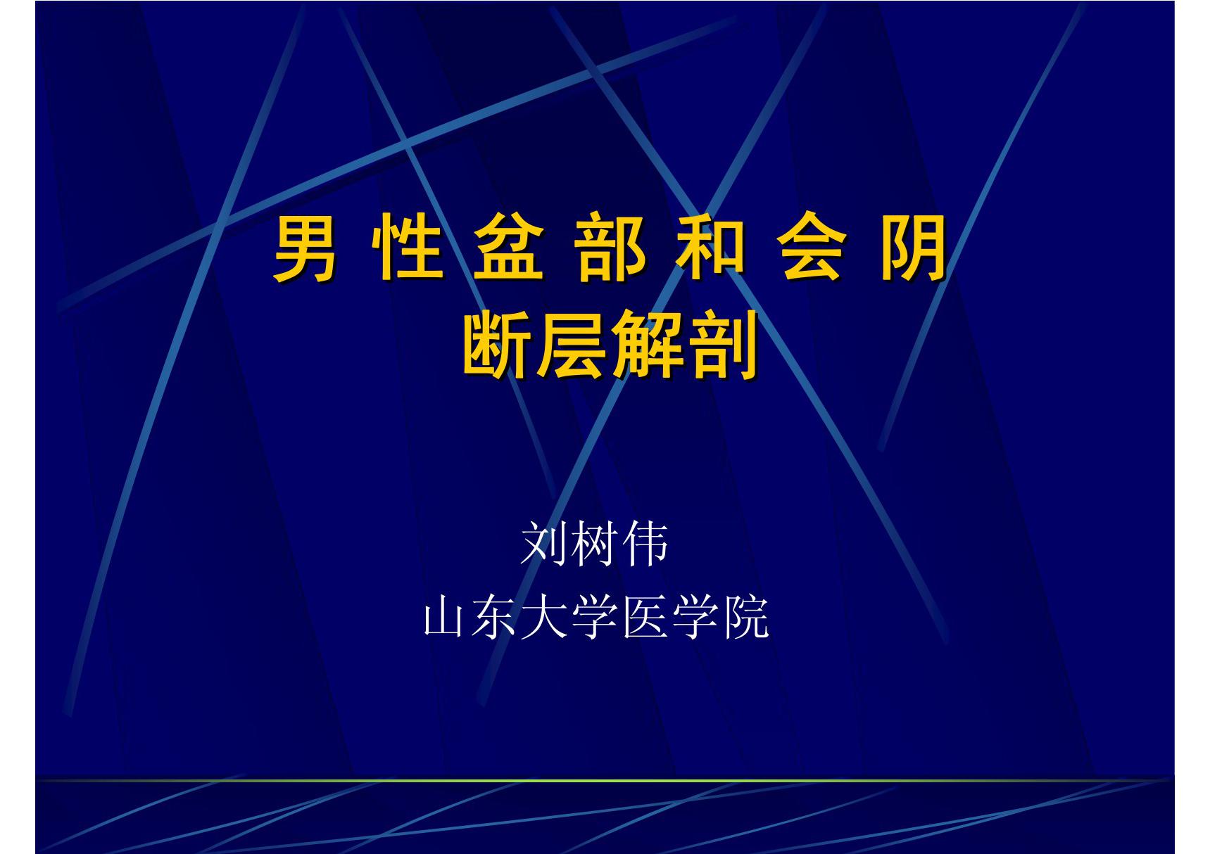 11 男性盆部和会阴断层解剖 《断层解剖学》高教版课件