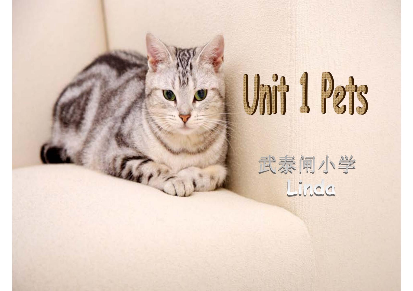 剑桥小学英语 三年级下册 Unit1 pets3