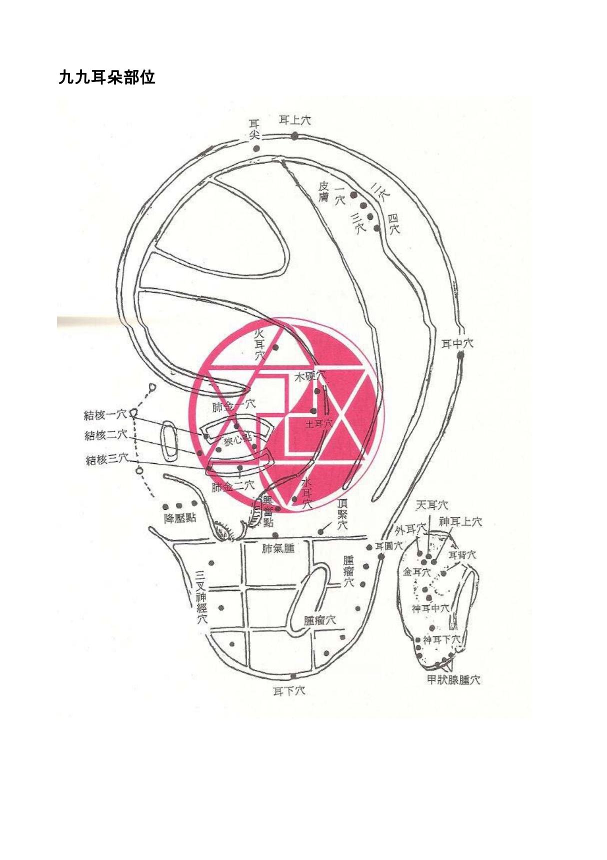 董氏穴位詳解--九九耳朵部位