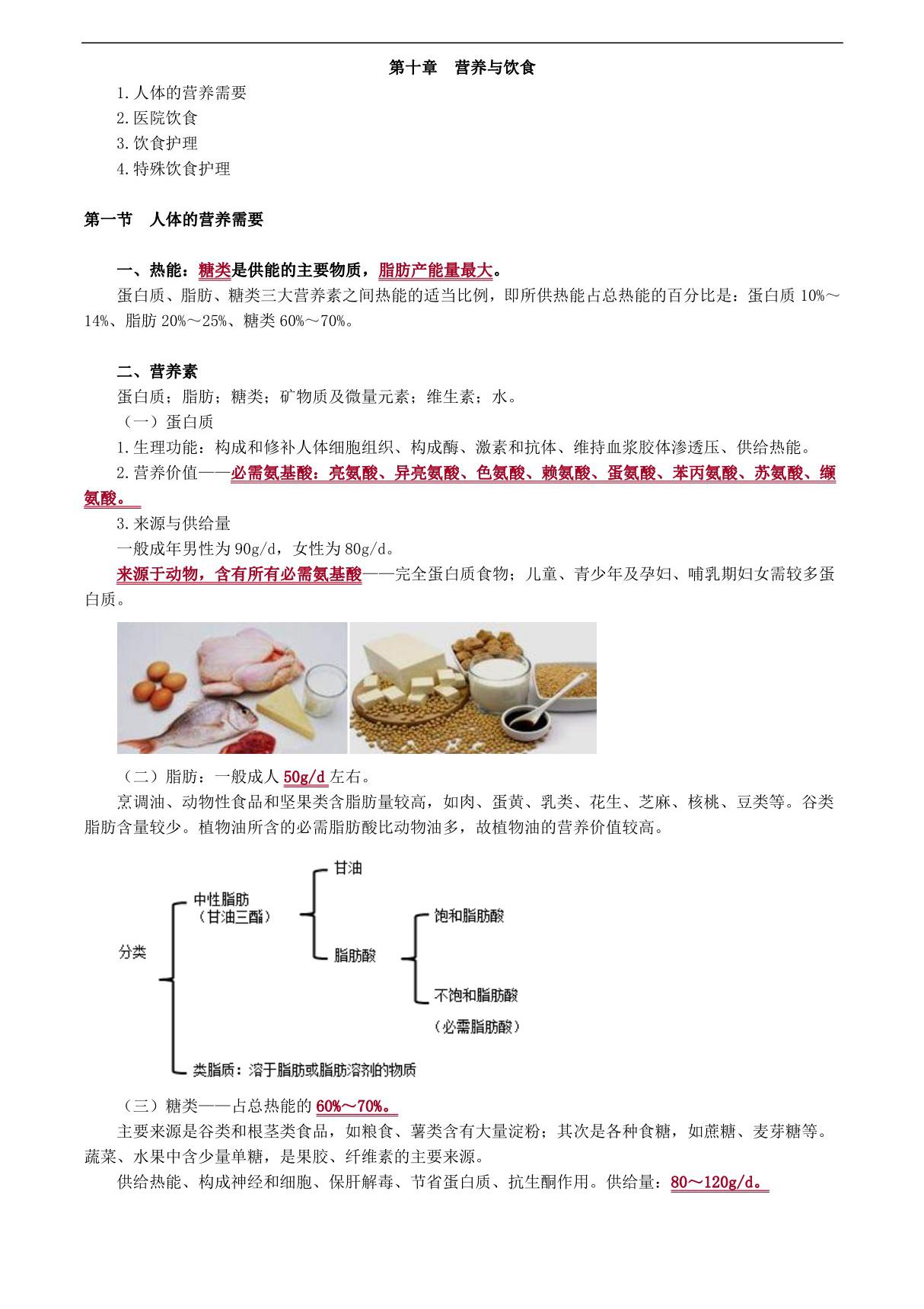 初级护师基础护理学营养与饮食讲义