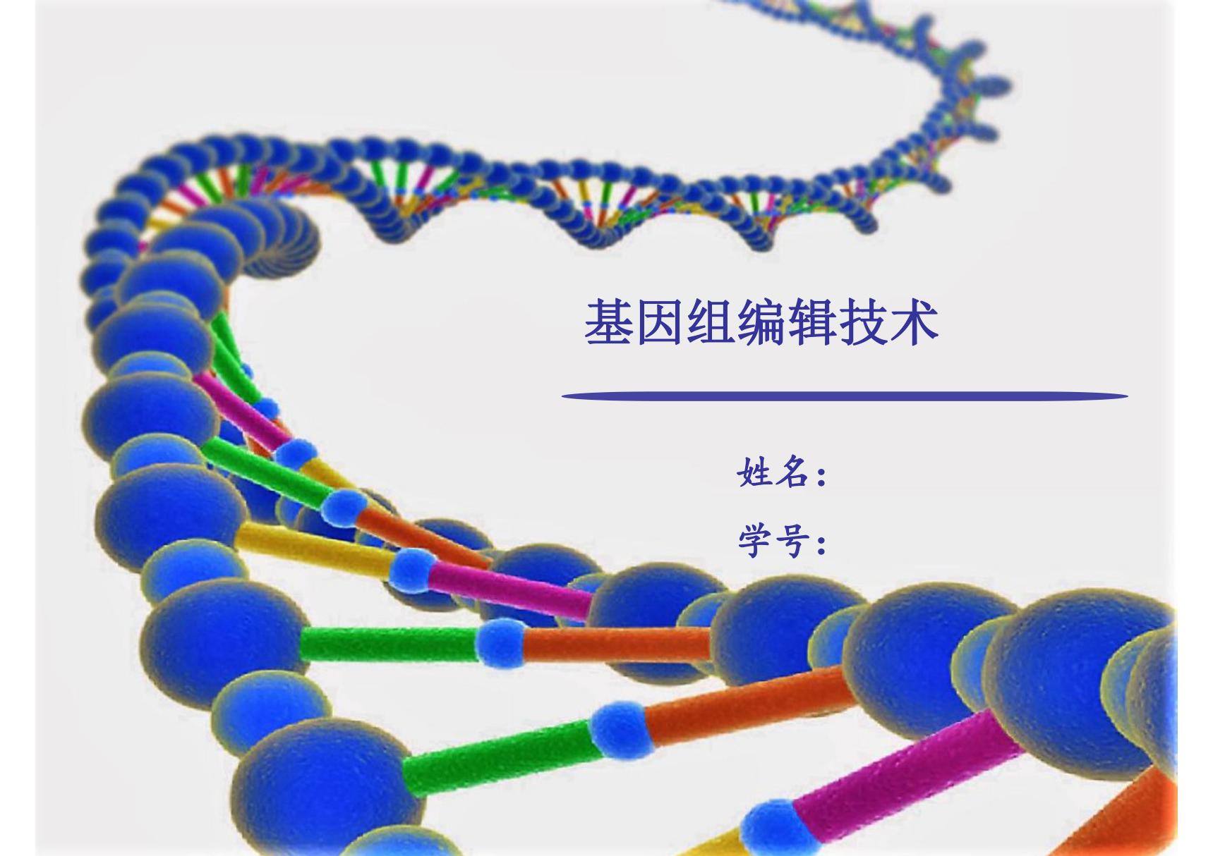 CRISPR基因编辑技术 PPT课件