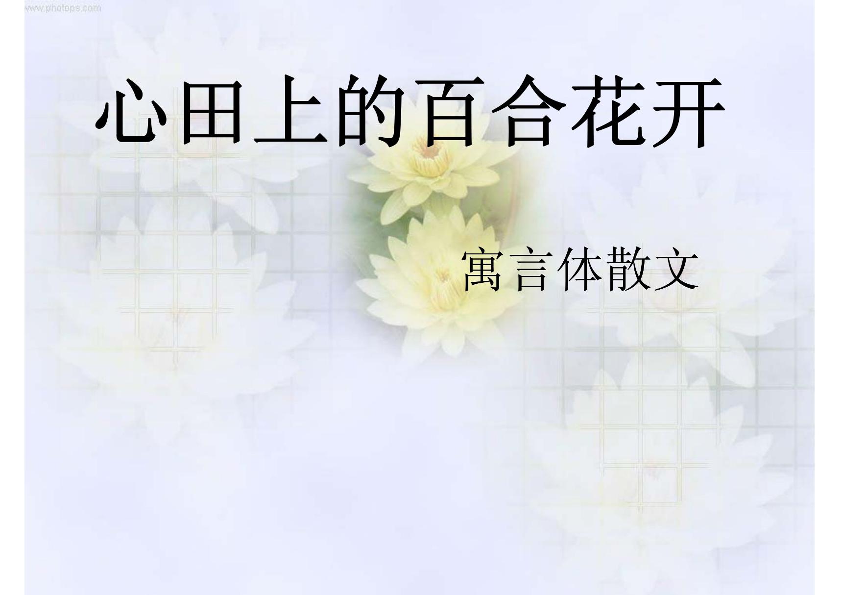 心田上的百合花开 林清玄