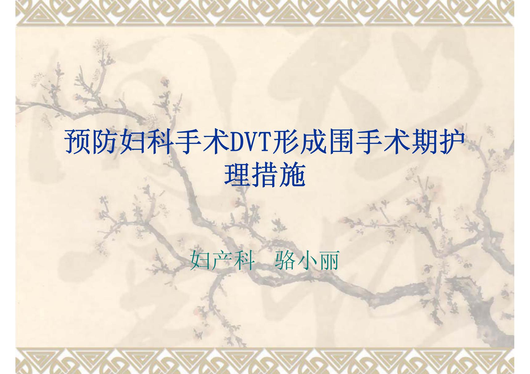 DVT在妇科围手术期的护理措施-PPT(精)