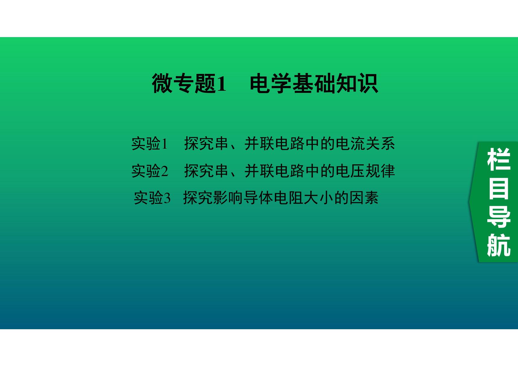 2020中考物理知识点微专题精讲《电学基础知识》