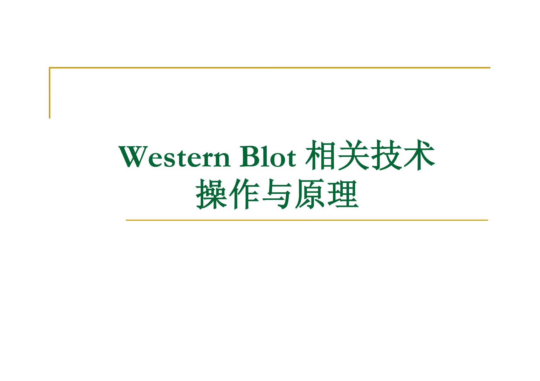 Western Blot 相关技术操作与原理