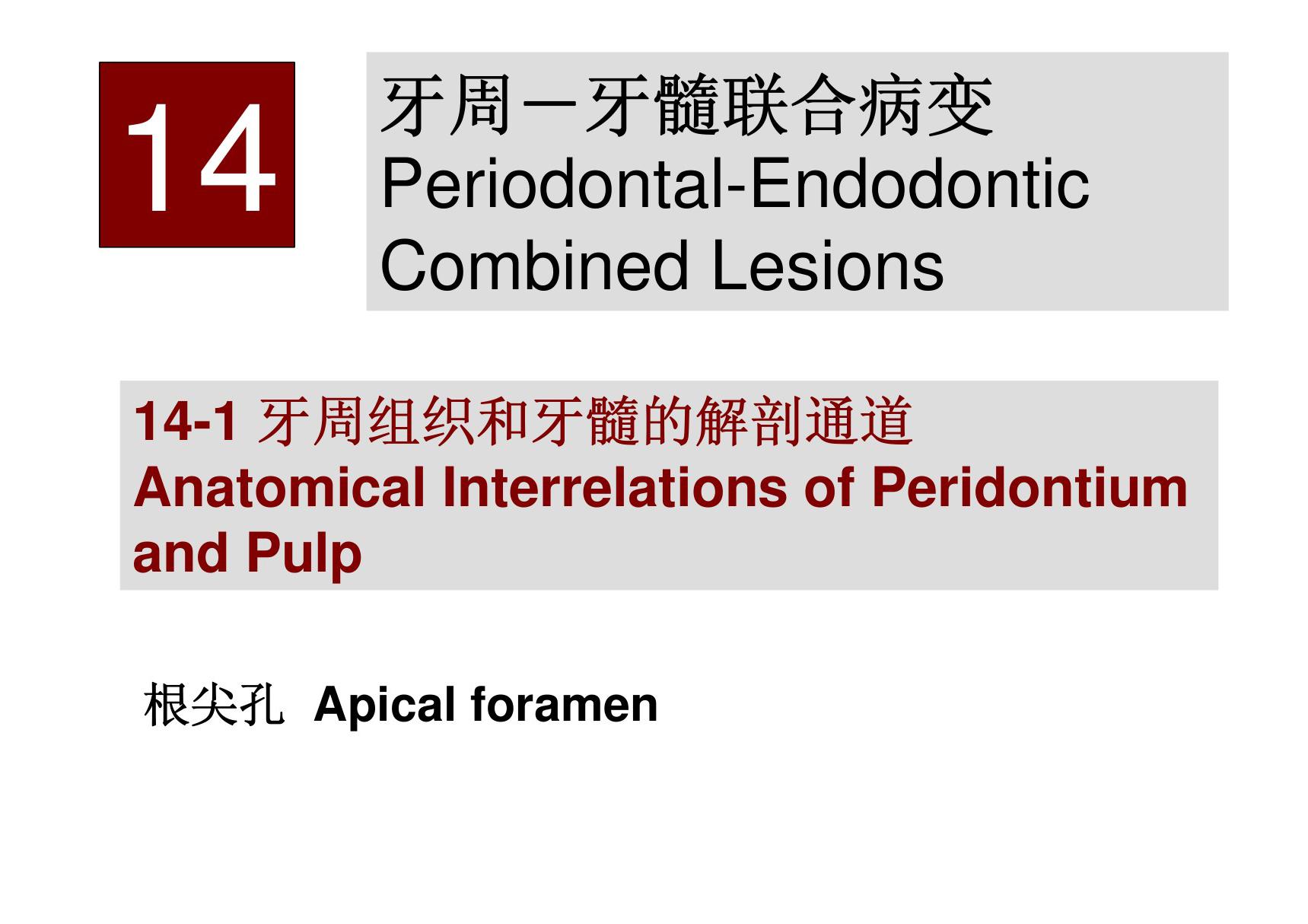 牙周牙髓联合病变 同济口腔医学课件