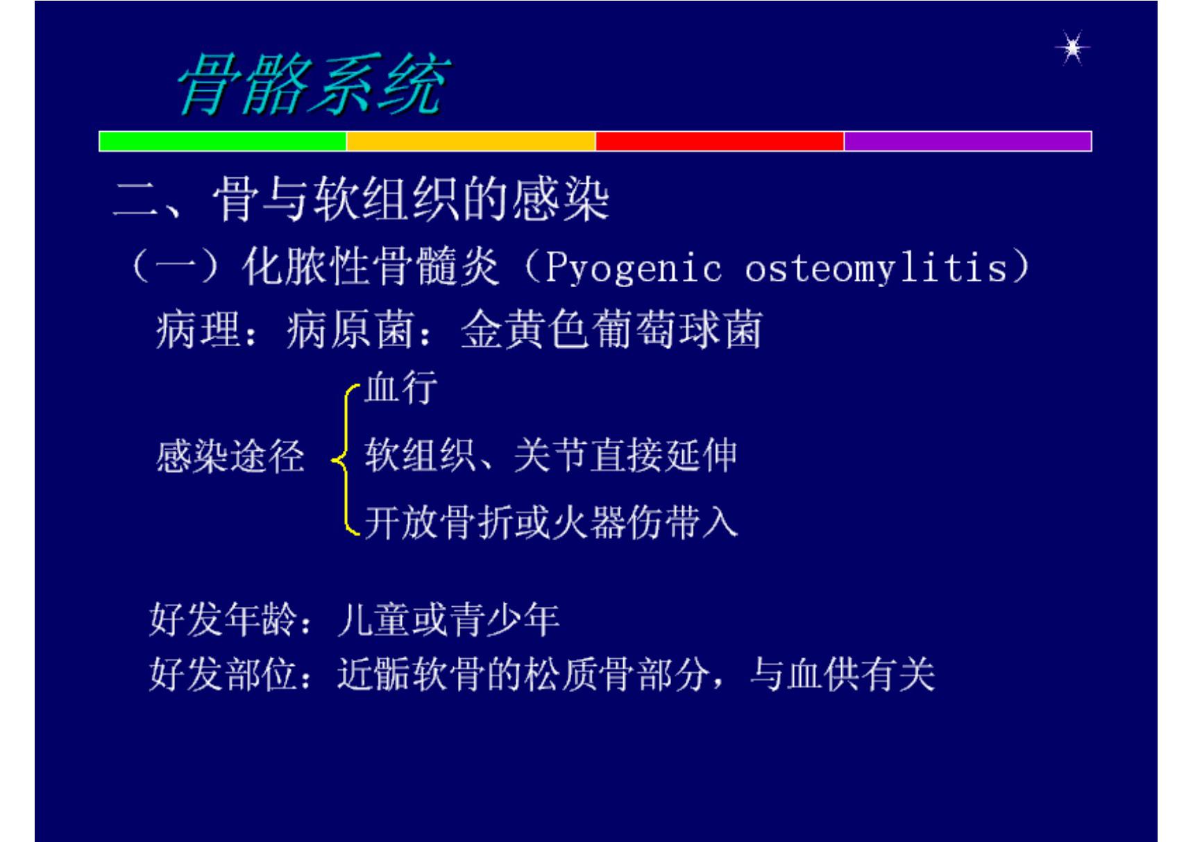 骨骼与肌肉系统影像 骨感染 代谢性骨病 汕大《医学影像学》课件