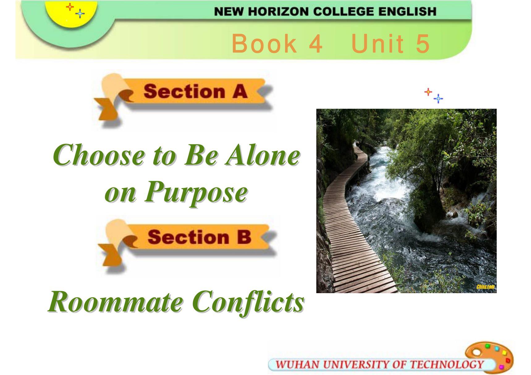 新视野大学英语Book4－5课件Choose to Be Alone on Purpose