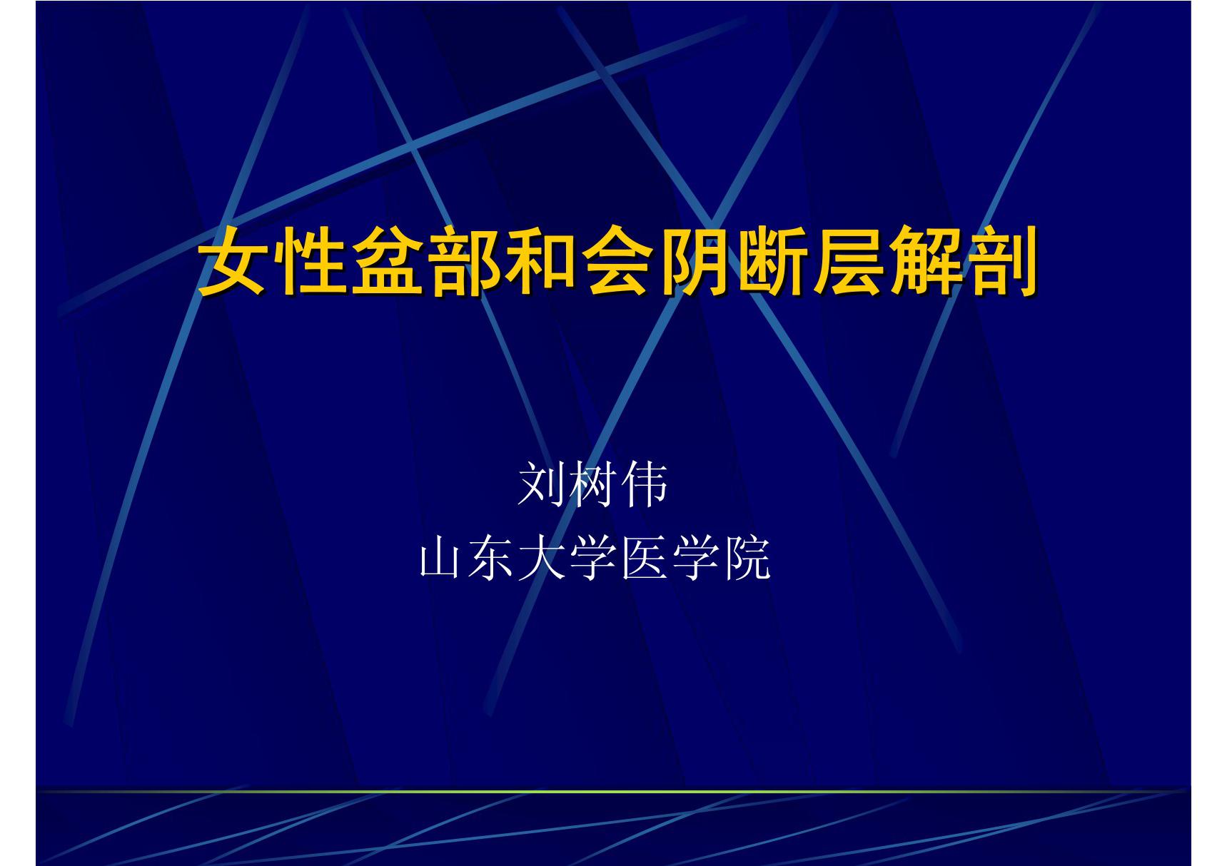 12 女性盆部和会阴断层解剖 《断层解剖学》高教版课件