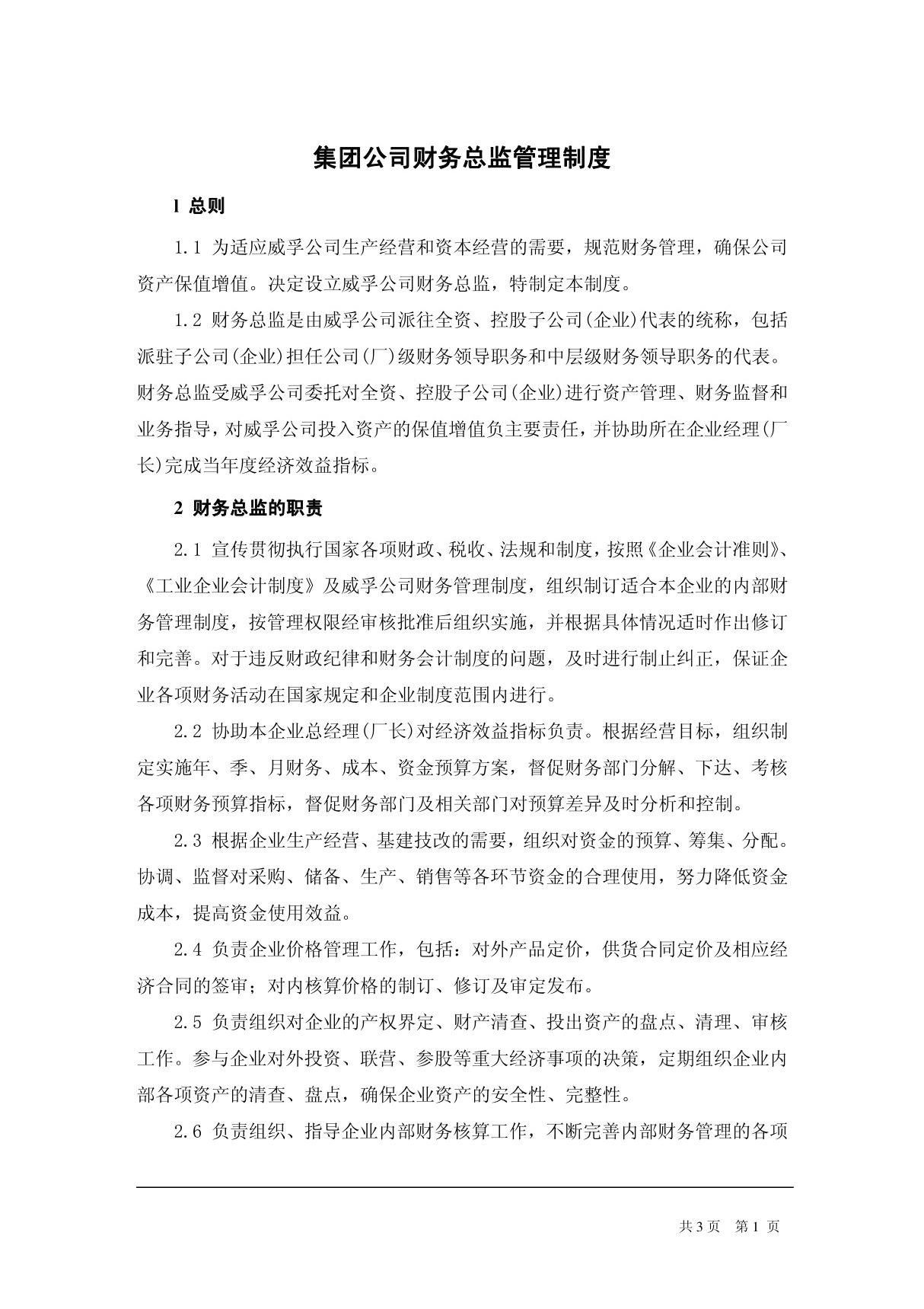 集团公司财务总监管理制度