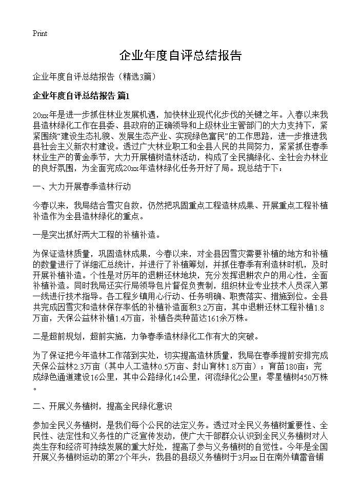 企业年度自评总结报告3篇