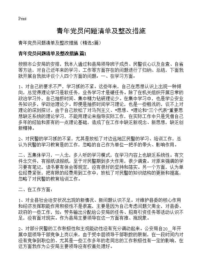 青年党员问题清单及整改措施5篇