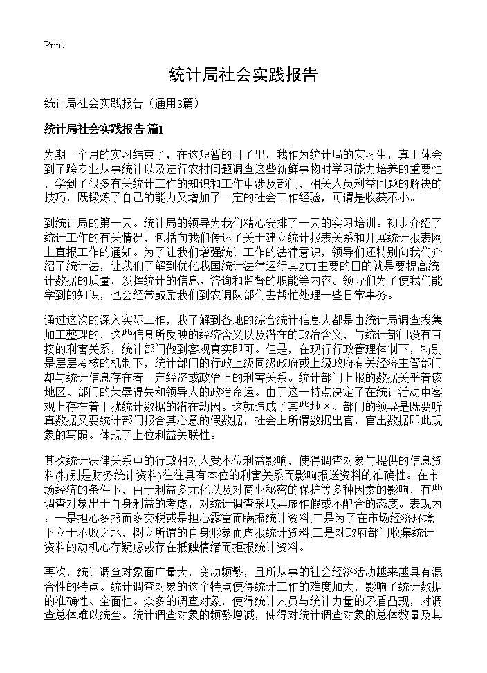 统计局社会实践报告3篇