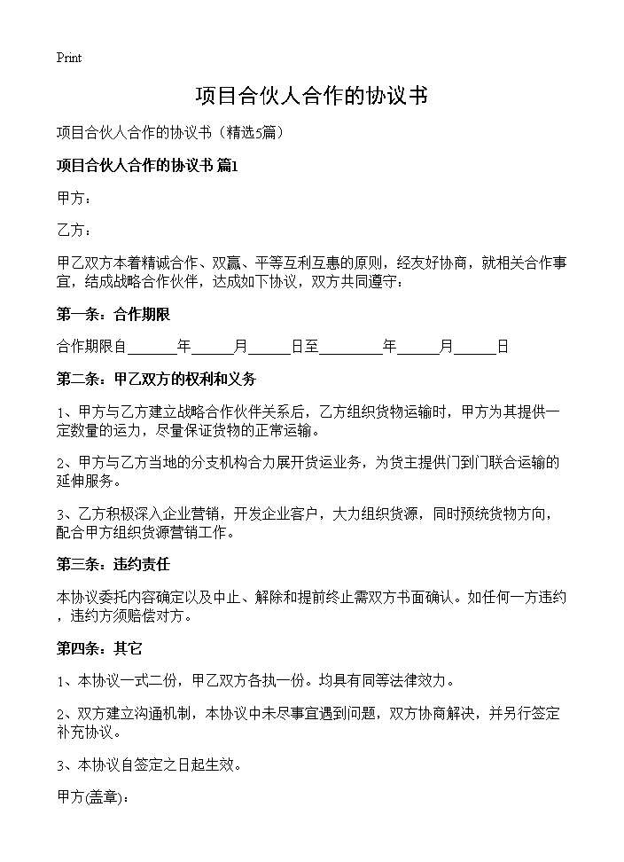 项目合伙人合作的协议书5篇