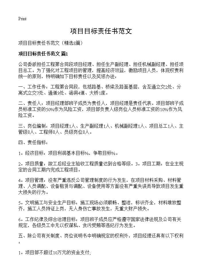 项目目标责任书范文8篇