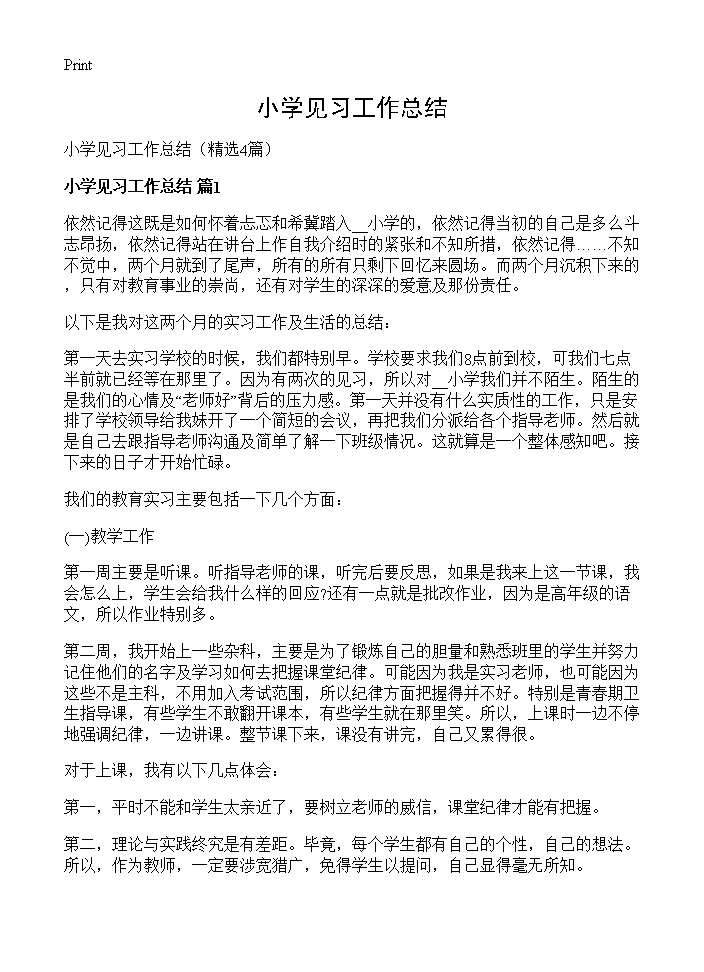 小学见习工作总结4篇