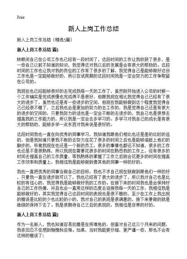 新人上岗工作总结5篇