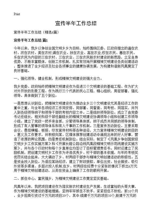 宣传半年工作总结6篇