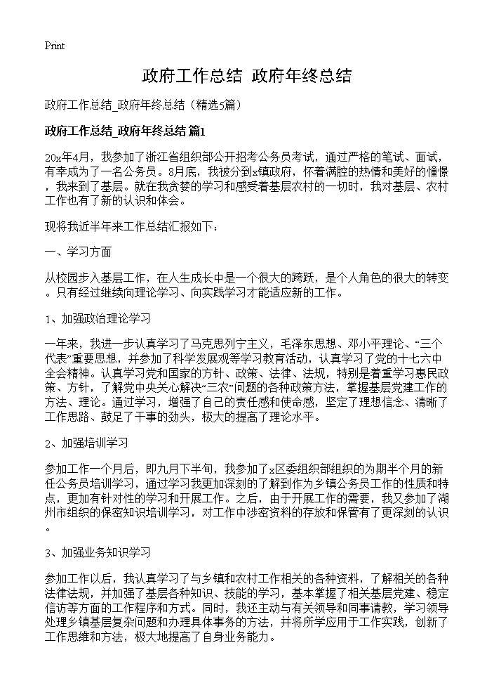 政府工作总结 政府年终总结5篇