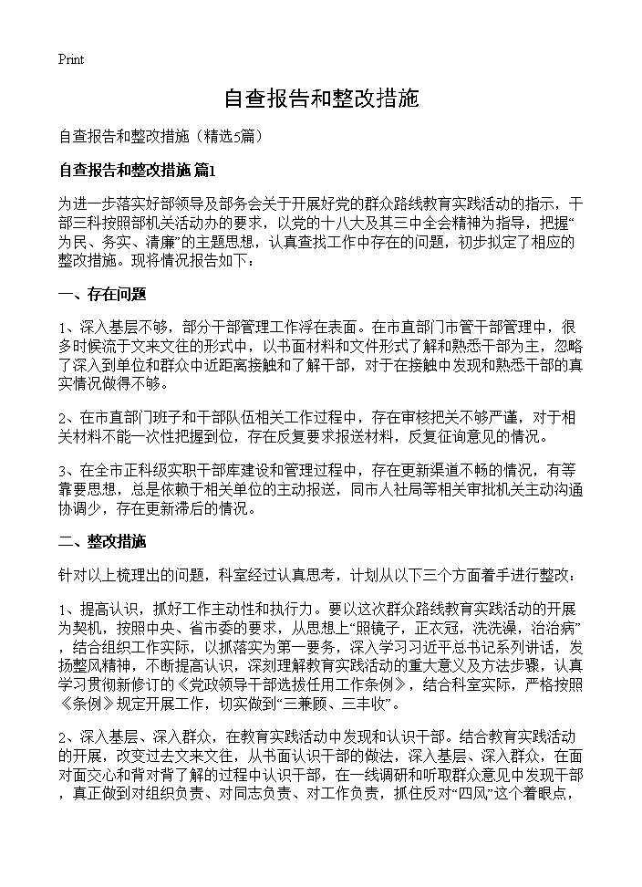 自查报告和整改措施 (共8页)