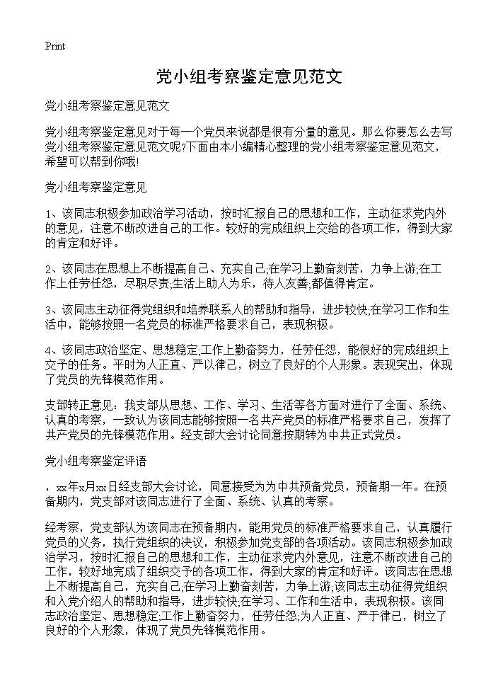 党小组考察鉴定意见范文