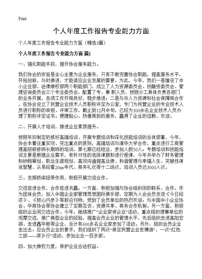 个人年度工作报告专业能力方面3篇