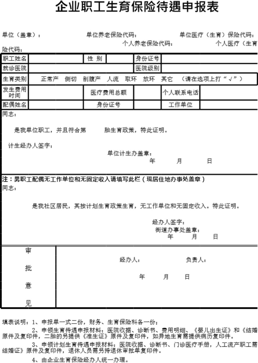 生育保险申报表