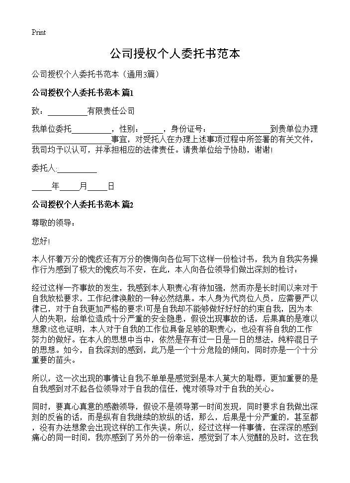 公司授权个人委托书范本3篇