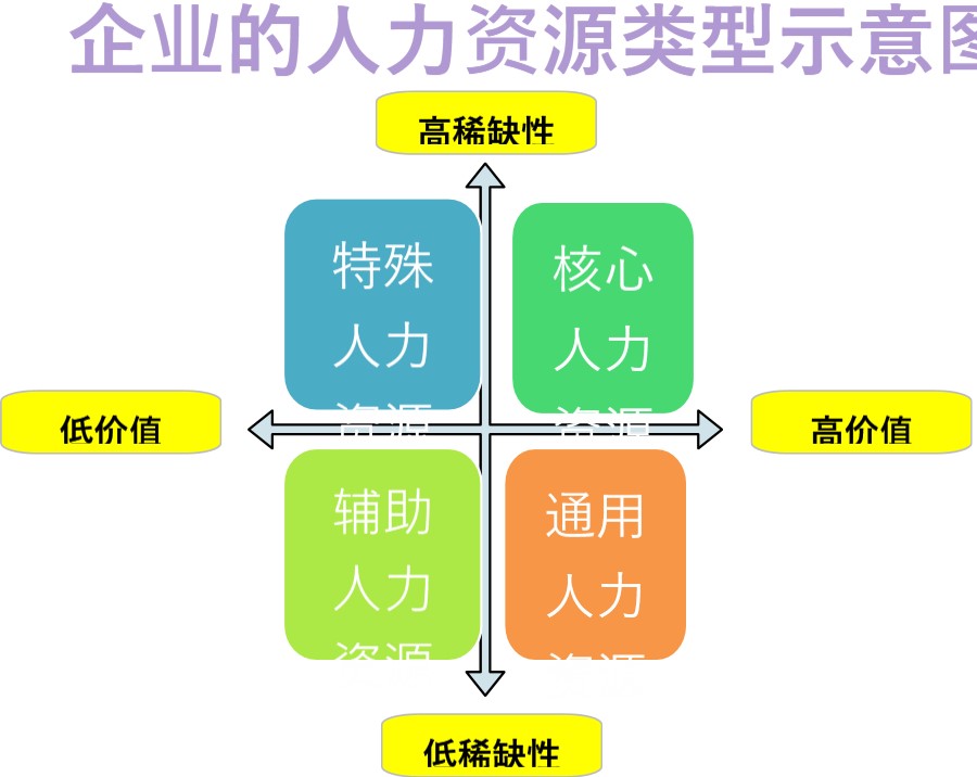 企业的人力资源类型示意图