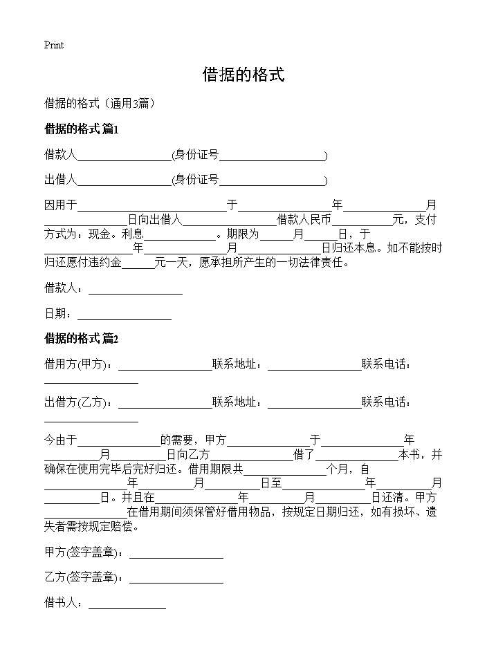 借据的格式3篇