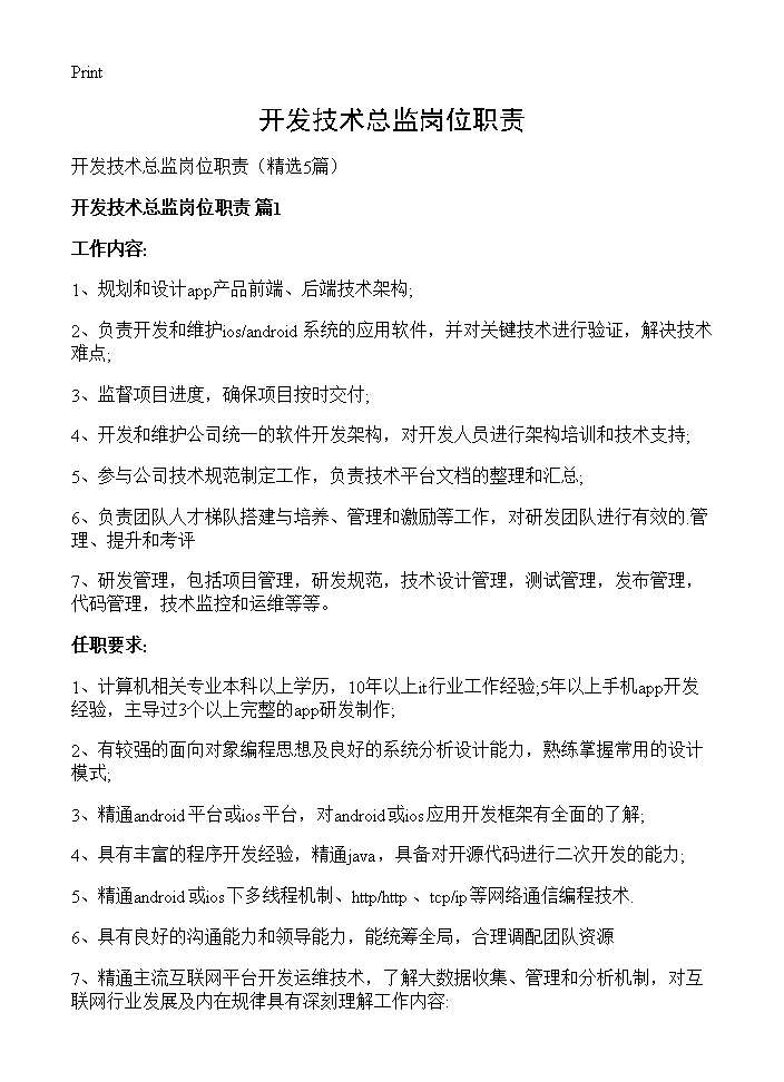 开发技术总监岗位职责5篇