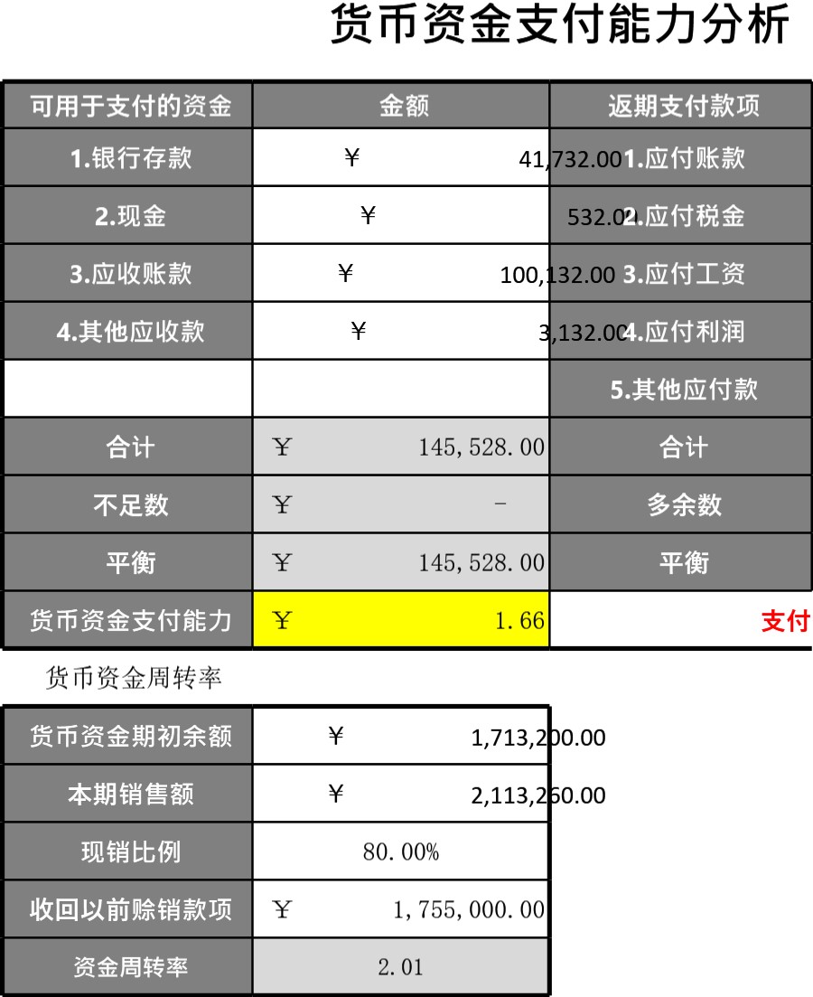 货币资金支付能力分析表模板