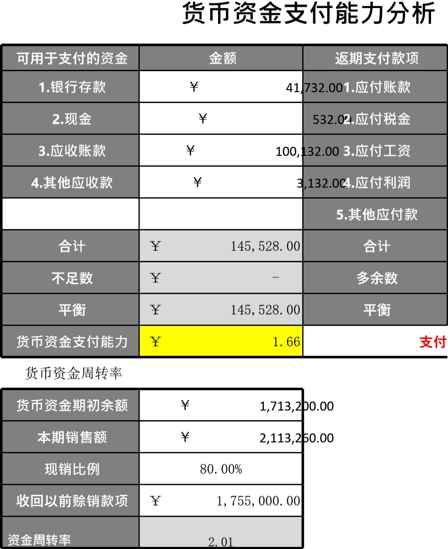 货币资金支付能力分析表